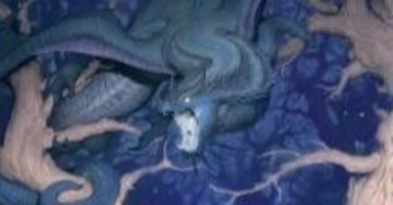 青黒ドラゴン（パイオニア）｜みやむー