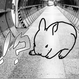 永沢俳里