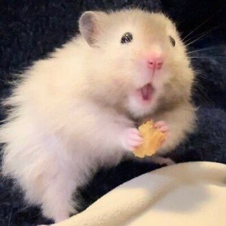 三朝(みささです)