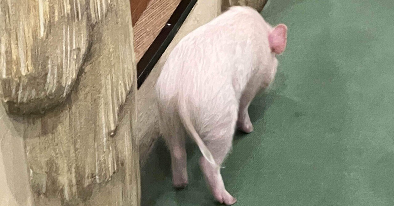 飛べない豚は何者か〜紅の豚を初めてみた話〜mono