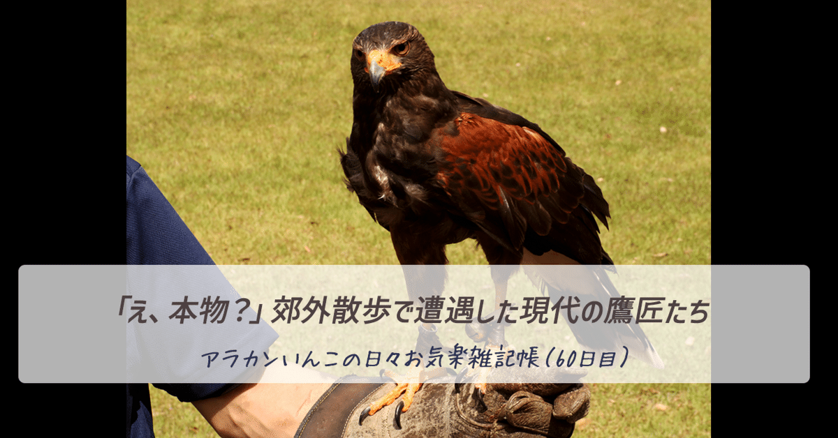 3823 外国切手 イエメンアラブ共和国 1966年 動物 鳥 ウサギ 馬 3種 6997 外国切手 バヌアツ 1987年 昆虫 切手4種セット - メルカリ