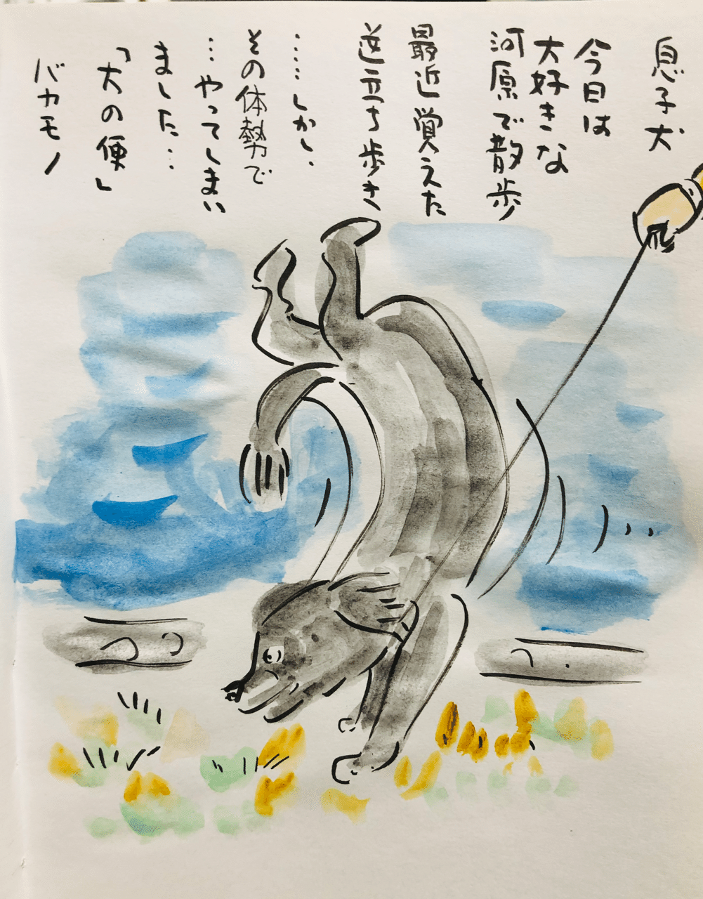 我が家の愛犬 Shin Note