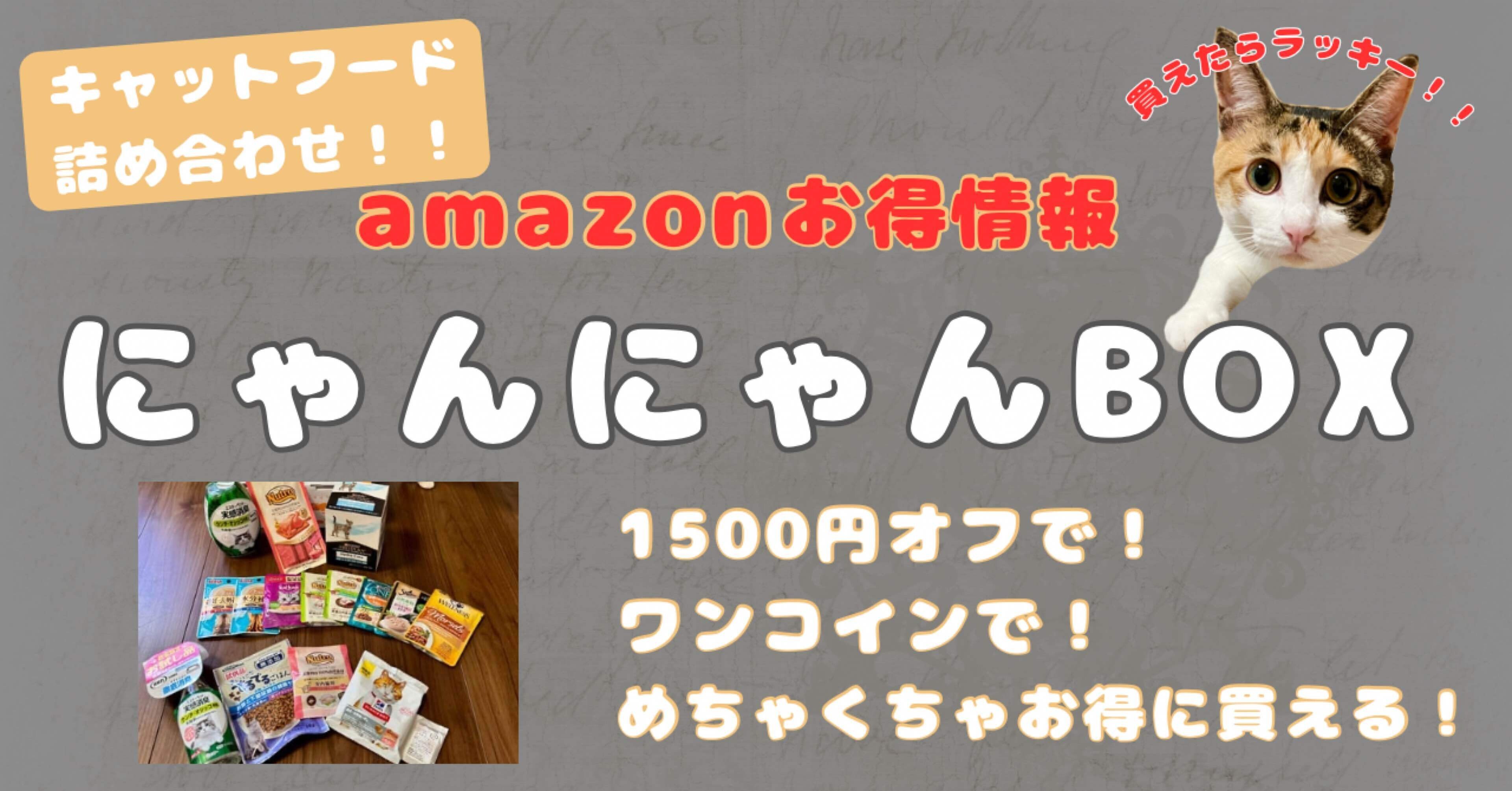 限定キャットフード詰め合わせ》AmazonにゃんにゃんBOX！今ならお得に