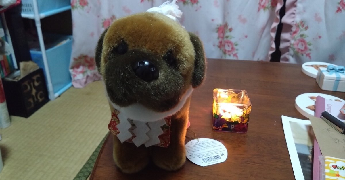 ヤチコダルマ　土佐犬抱っこ ヤチコダルマ 土佐犬抱っこ