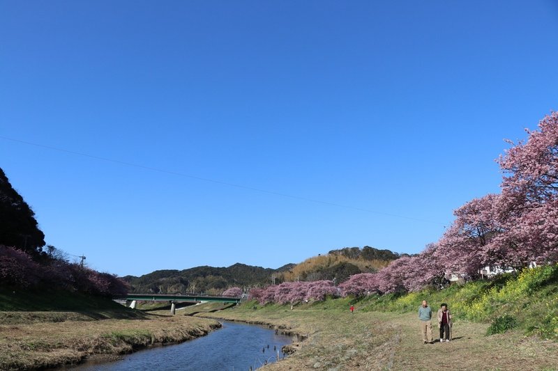 みなみいずドライブ☀️🎶🚗💨🎶🌸_200210_0155