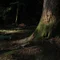 xx architecture／一級建築士/designer