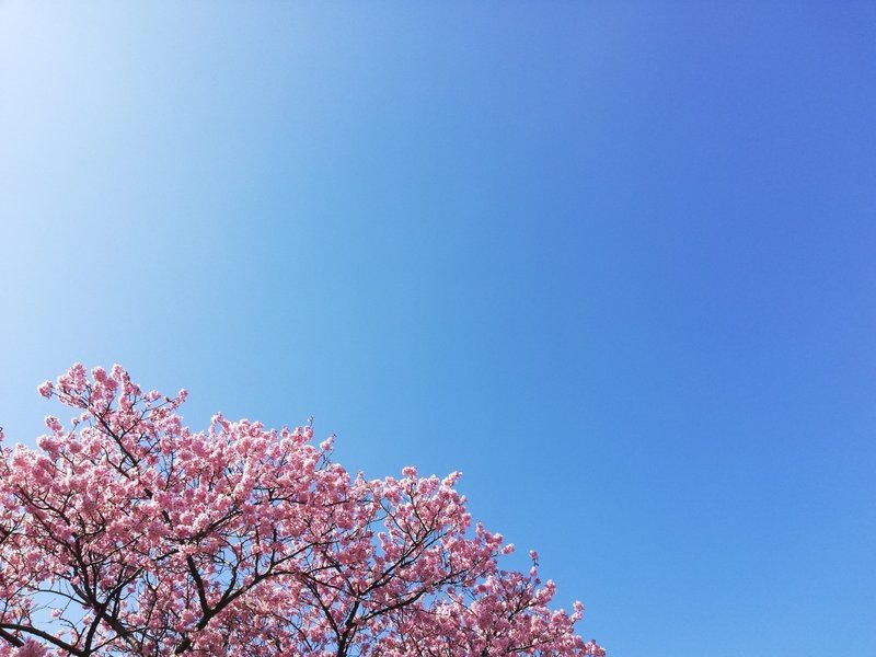 みなみいずドライブ☀️🎶🚗💨🎶🌸_200210_0005