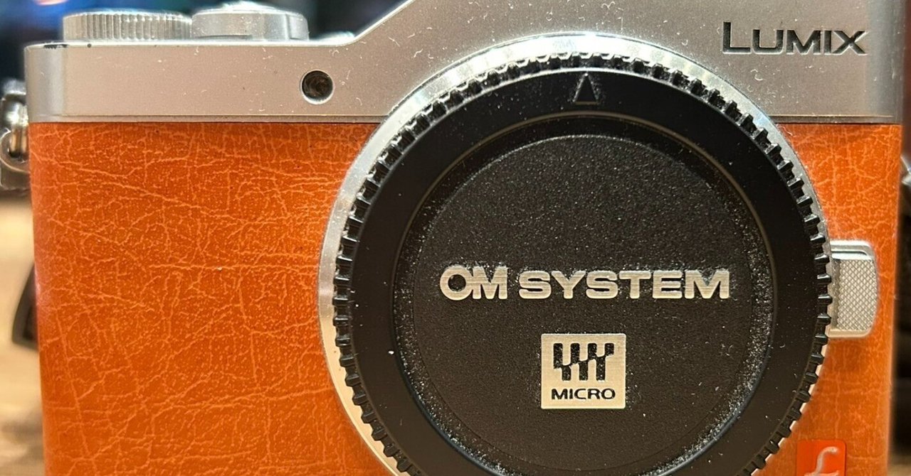 Panasonic LUMIX GM DMC-GM1K オレンジ カメラケース付