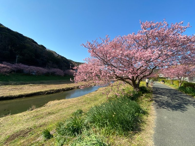 みなみいずドライブ☀️🎶🚗💨🎶🌸_200210_0052