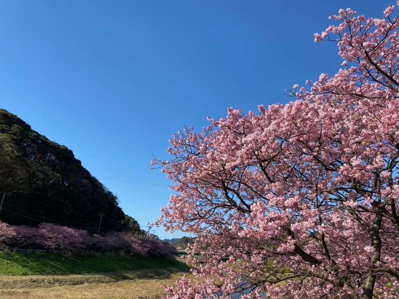 みなみいずドライブ☀️🎶🚗💨🎶🌸_200210_0044