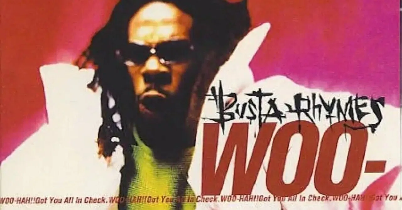 和訳Busta Rhymes ‎- Woo-Hah!! Got You All In Check｜shotgundandy