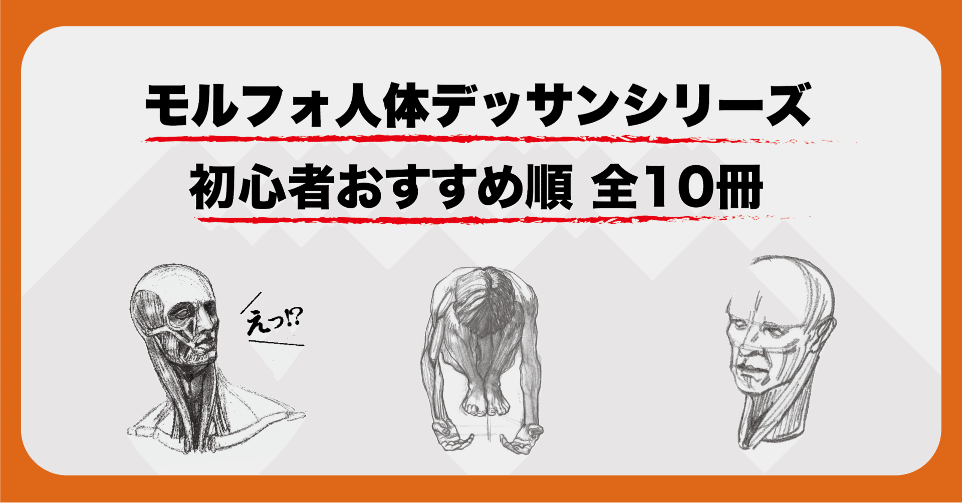 美術書担当編集が解説！ 『モルフォ人体デッサンシリーズ』特集