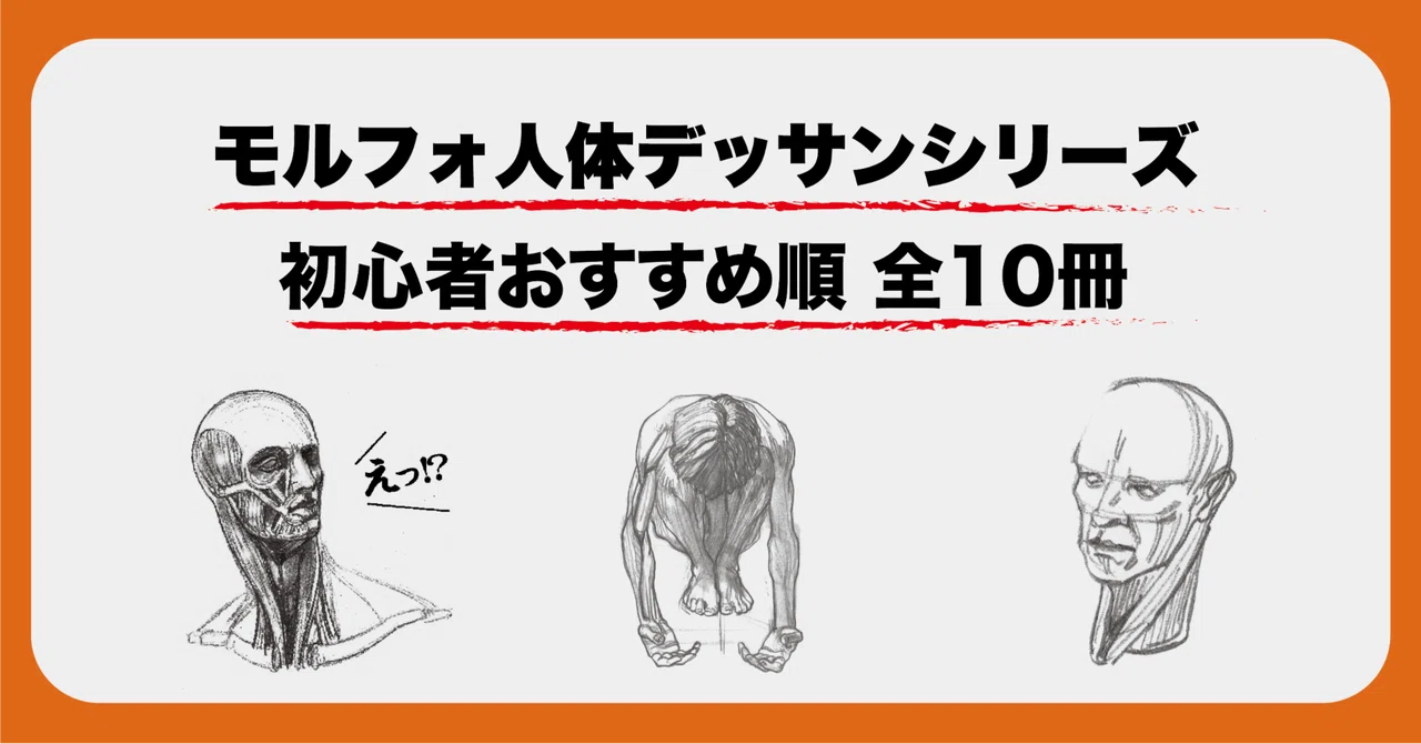 美術書担当編集が解説！ 『モルフォ人体デッサンシリーズ』特集
