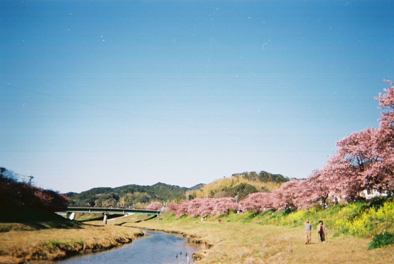 みなみいずドライブ☀️🎶🚗💨🎶🌸_200210_0298