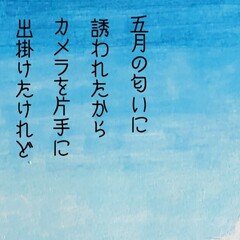 浦川智子 北風のピリオド 天野滋 天野滋提供曲 浦川智子〜北風のピリオド〜｜otomi320