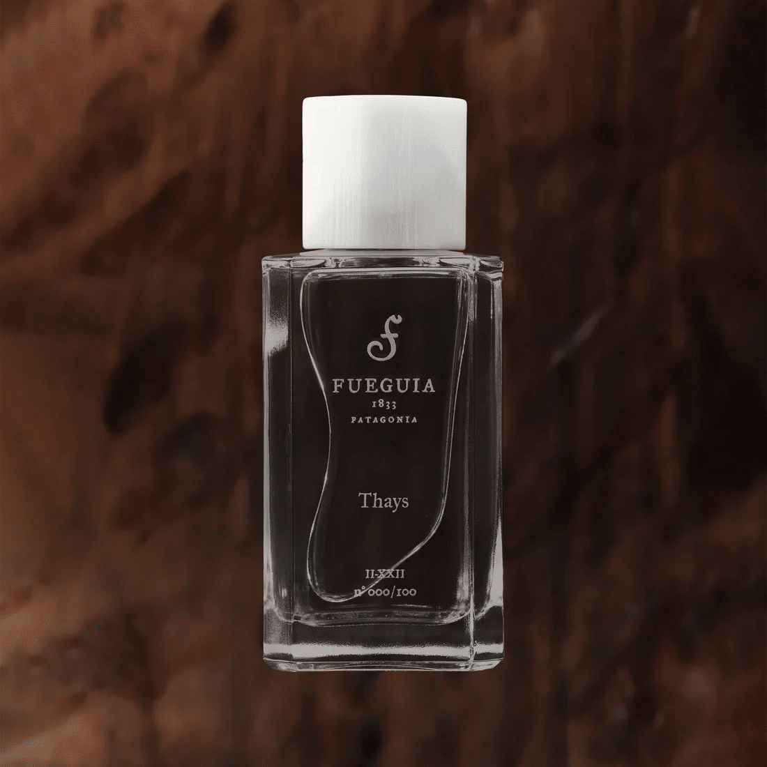 FUEGUIA 1833｜ Thays｜wabisuke___