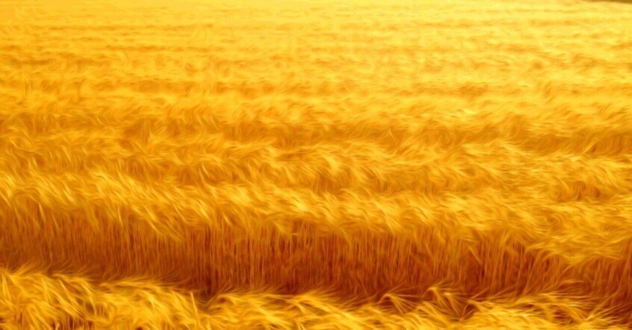 追憶の色｜Jilly