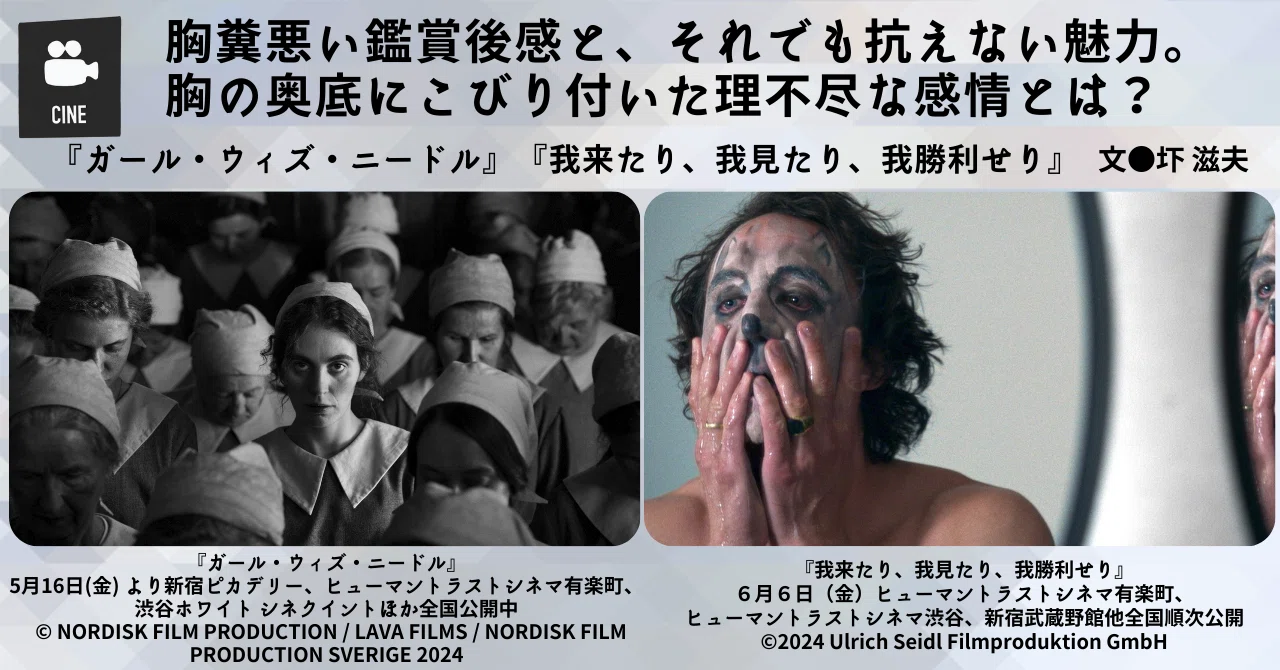 公の場での発言・インタビュー報道記録