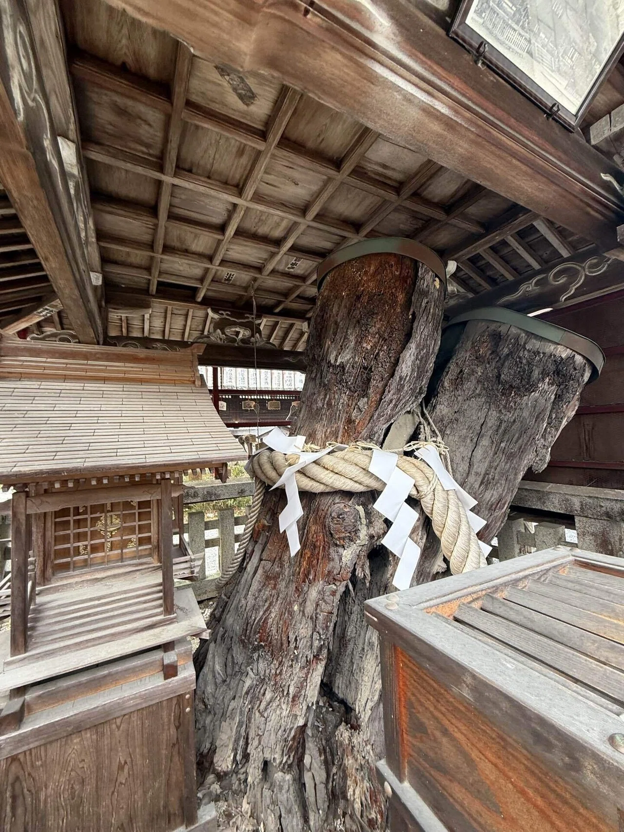 松尾大社⑤ラストは鈴の音とともに、大山咋神を拝す。｜Rico｜神仏巡礼