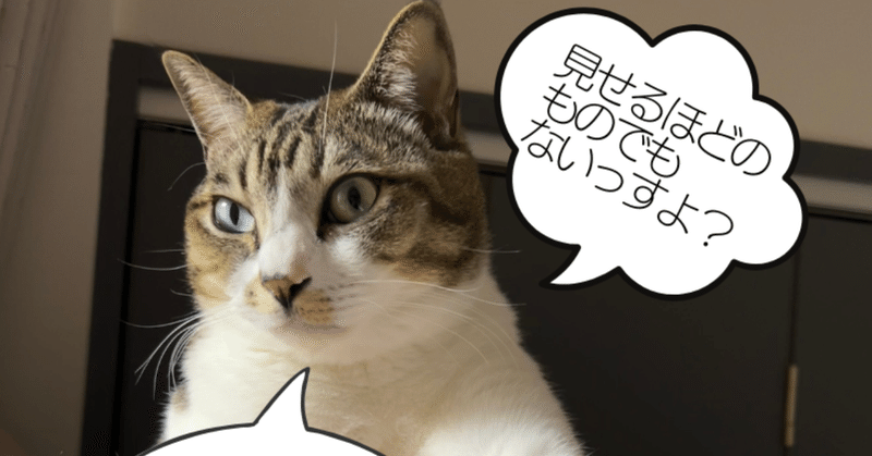猫たちと暮らす幸せを感じる時～♪ : 猫だらけ Powered by