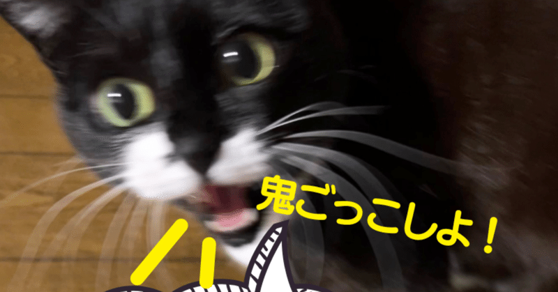 猫のいるしあわせ」の急上昇タグ記事一覧｜note ――つくる