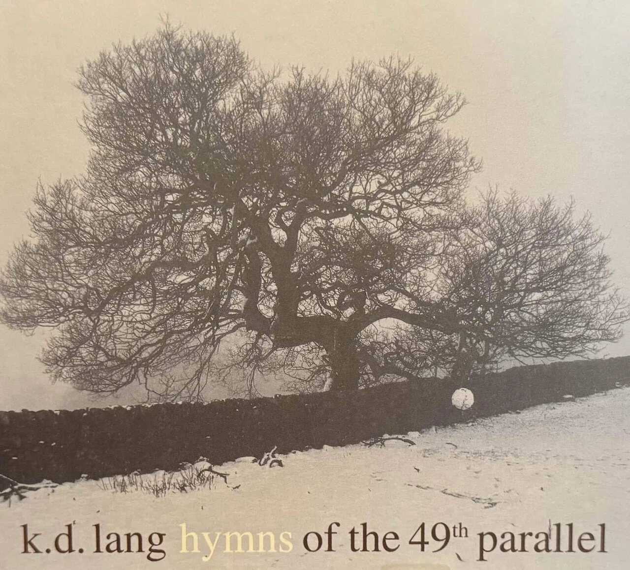 k.d. ラング『hymns of the 49h parallel』〜自分にとって歌の上手い