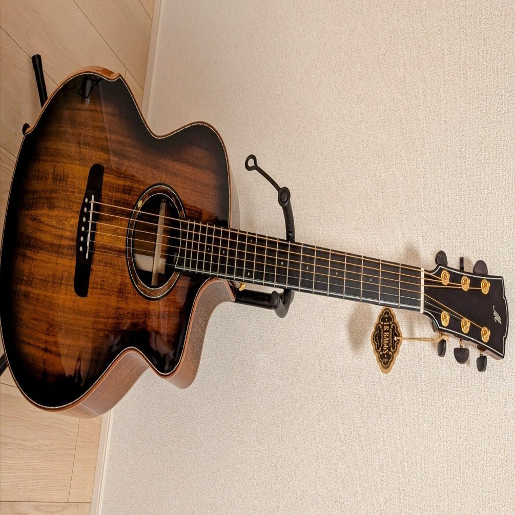 注文から3か月！ついに届きました！！Merida/SCAR 本体と音（mp3