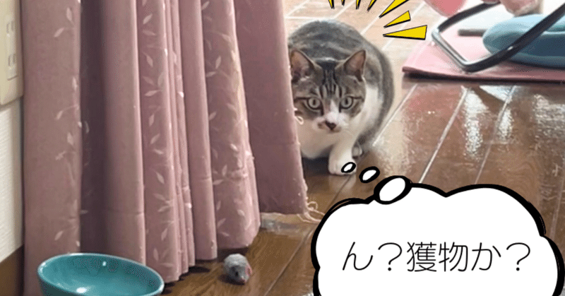 猫のいるしあわせ」の急上昇タグ記事一覧｜note ――つくる