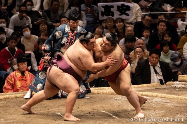 花相撲 の新着タグ記事一覧 Note つくる つながる とどける