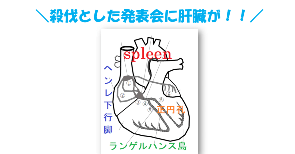 【待望★】 第117回医師国家試験受験記録】medu4映像講義の感想：通常講義 医療関連資格