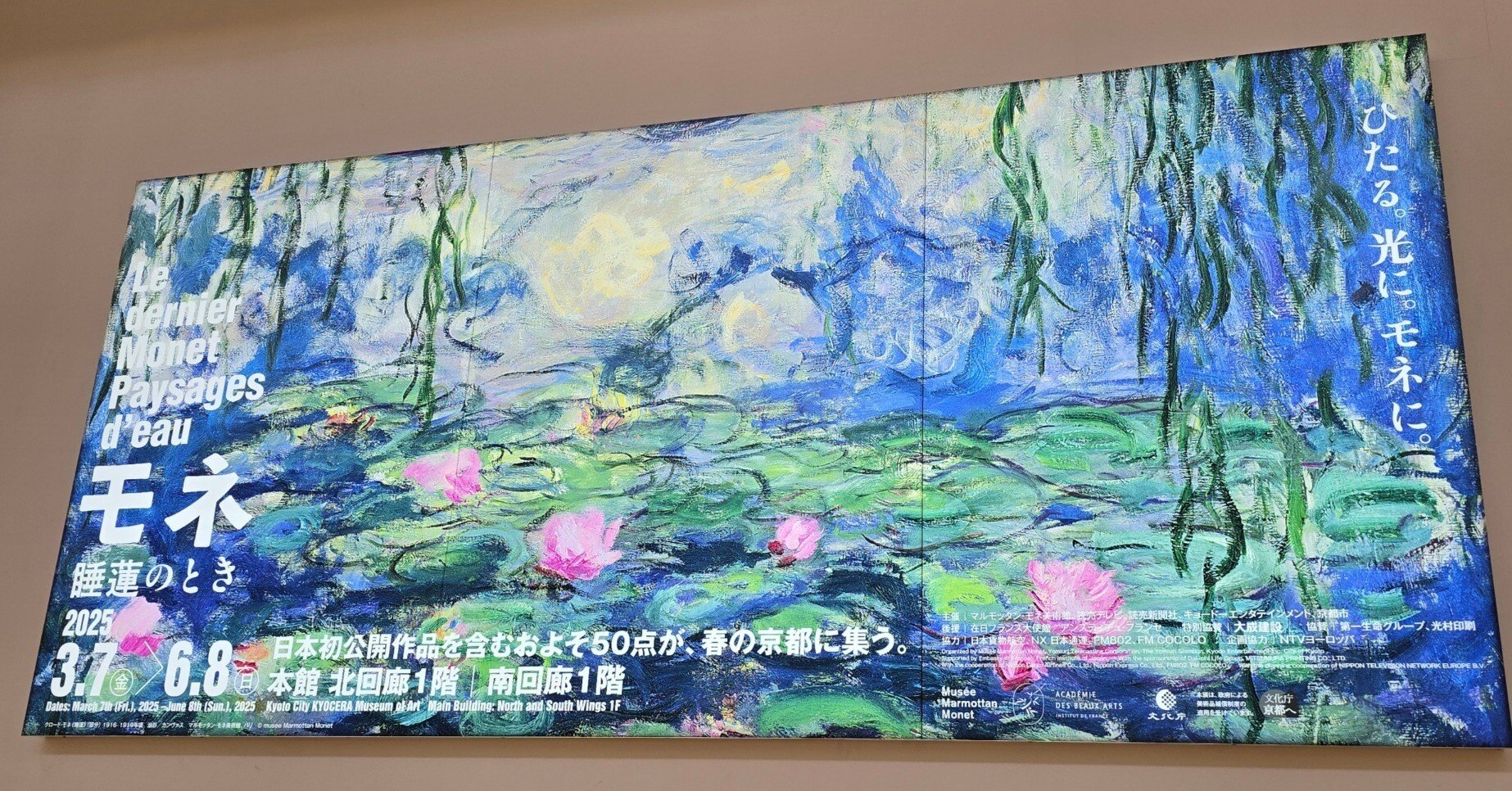 モネ 睡蓮のとき【京セラ美術館】｜Я