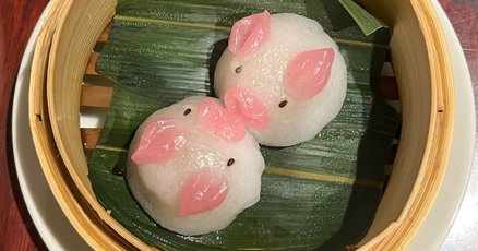 遠藤周作 名刺 品多く 遠藤周作 名刺 コレクション コレクション - コレクション