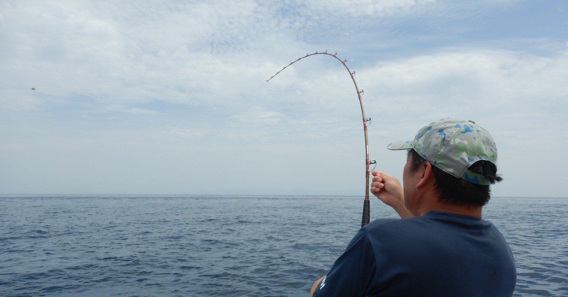 51995c7f81b21ed9f295a4bd94df9d