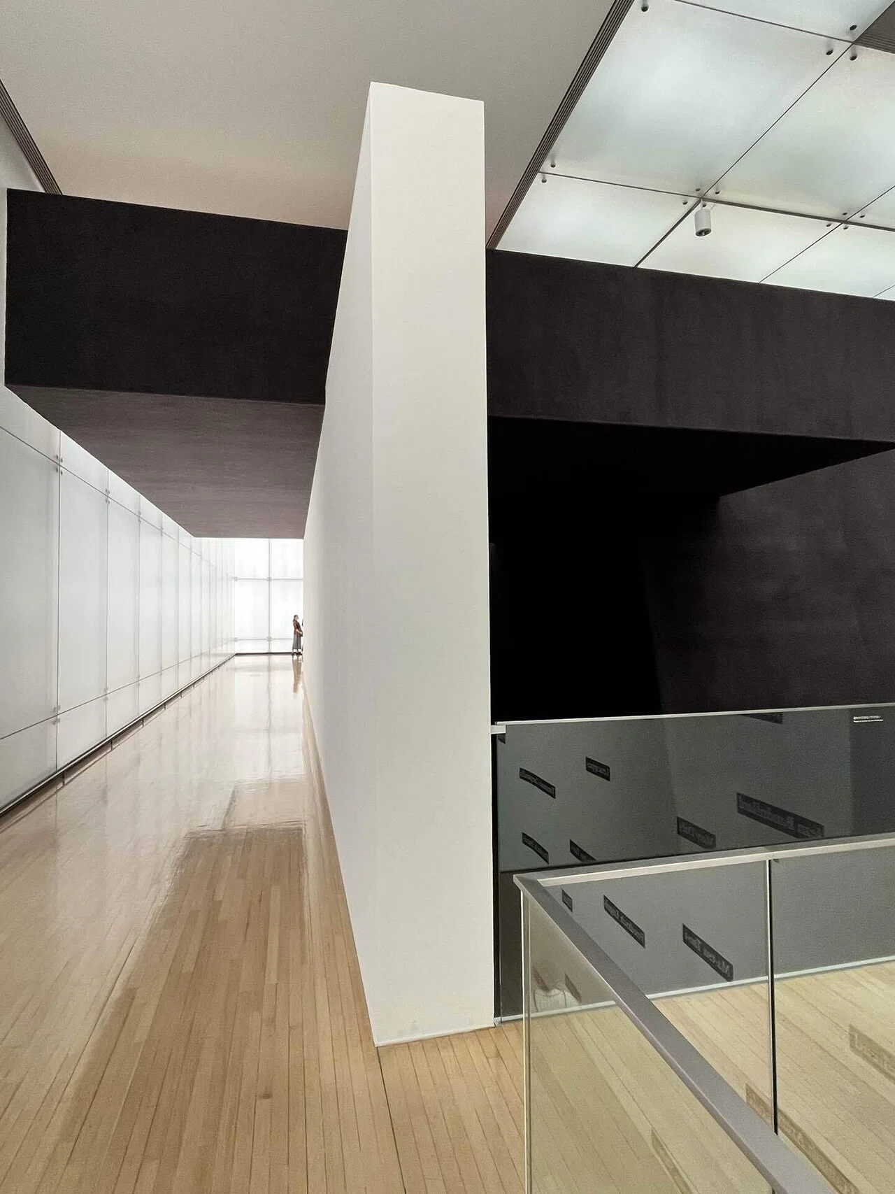 Takuro Takayama: FLOOR (Toyota Municipal Museum of Art)｜藤崎殊海