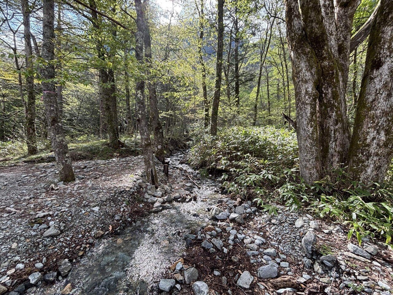 sale【ART】瀬良風華真筆(上高地の清流梓川)サムホール