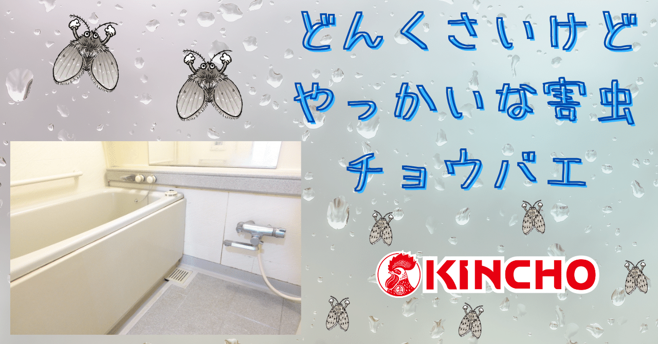 蝿の子供 Sawako - トーキョーバイク