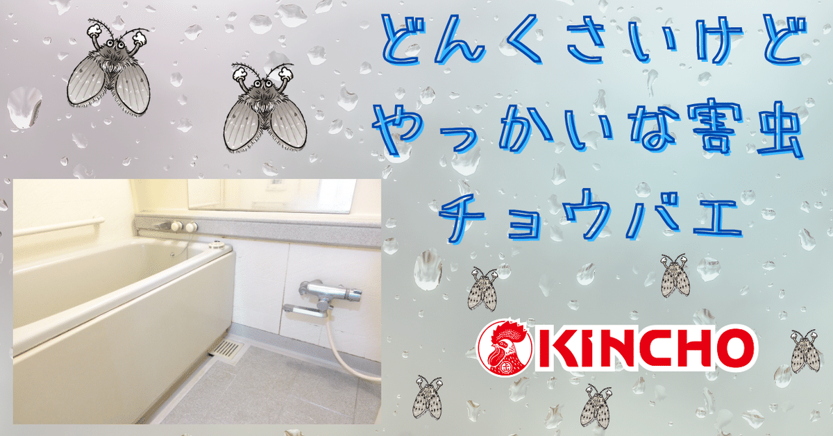 チョウバエ ～「どんくさいけど、やっかいな害虫」｜KINCHO 大