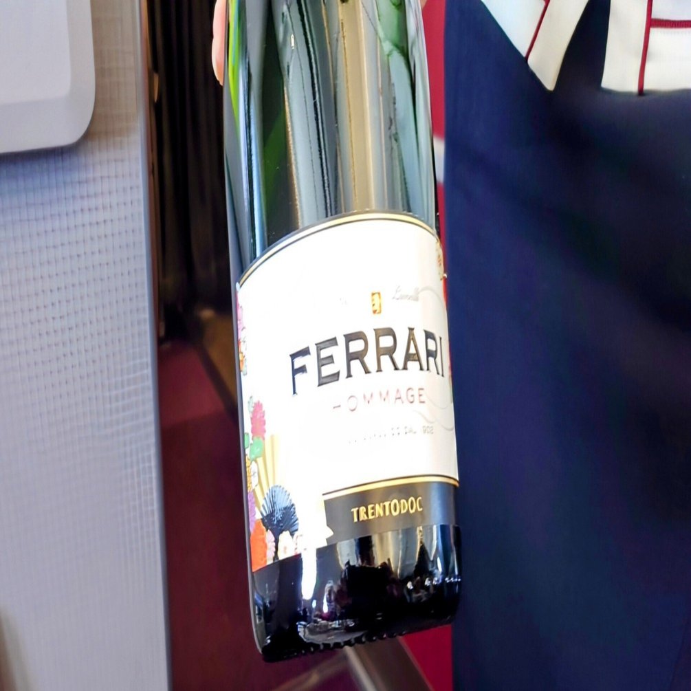 JAL国内線ファーストクラス搭乗の記録／「沖縄－羽田」｜菅野ノリヒコ