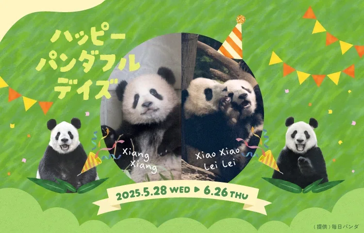 6月はパンダたちの誕生日！ハッピーパンダフルデイズを開催！｜上野案内所