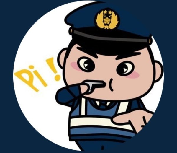 専属コーチプラン