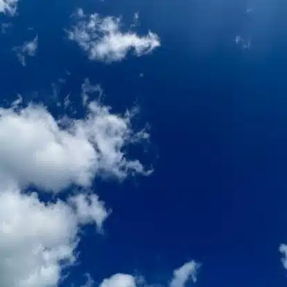 sora.