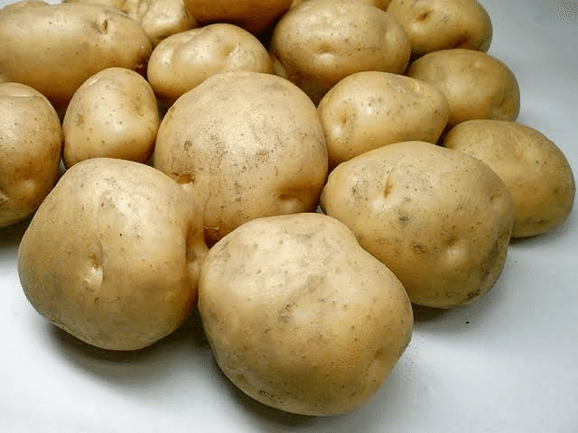 20畑[ジャガイモノコト]｜「野菜ってなんだっけ？」