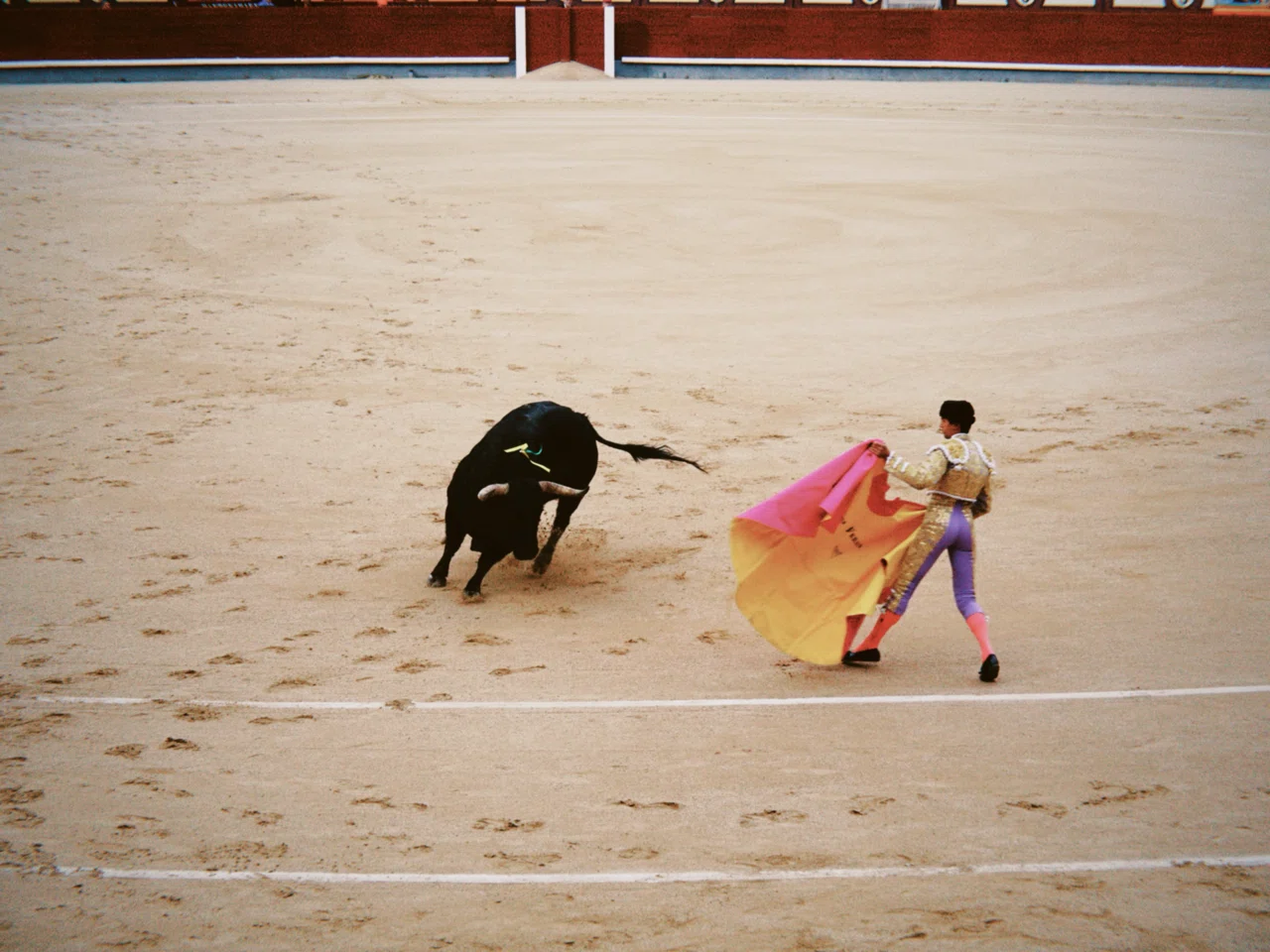 スペイン旅写真 17 闘牛 閲覧注意 さざなみあやめ