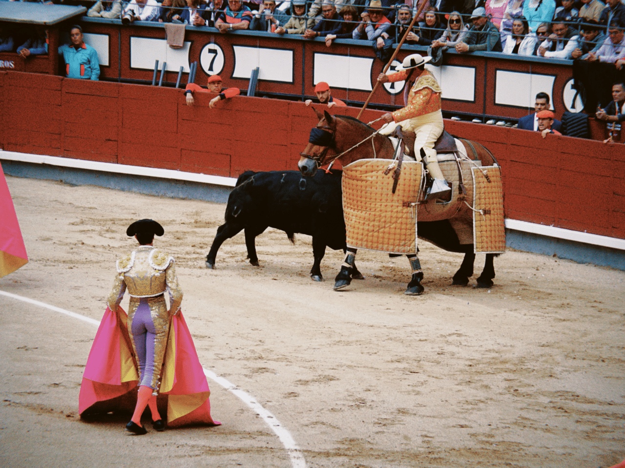 スペイン旅写真#17】 闘牛 【閲覧注意】|さざなみあやめ スペイン旅写真#17】 闘牛 【閲覧注意】|さざなみあやめ