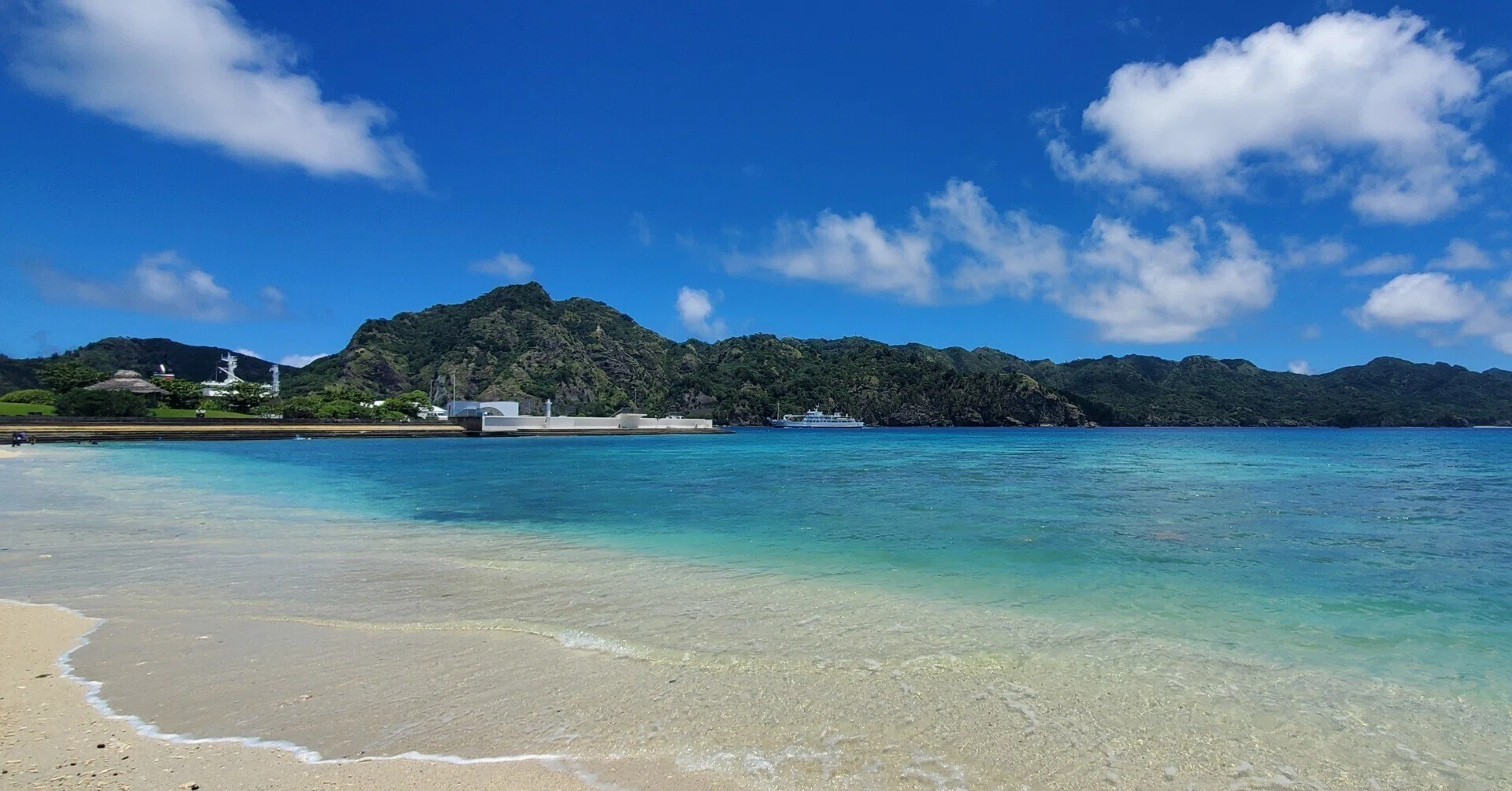 世界自然遺産 小笠原 ~ボニンブルーの海~ 世界自然遺産 小笠原 ～ボニンブルーの海～【ブルーレイ】｜ビコム
