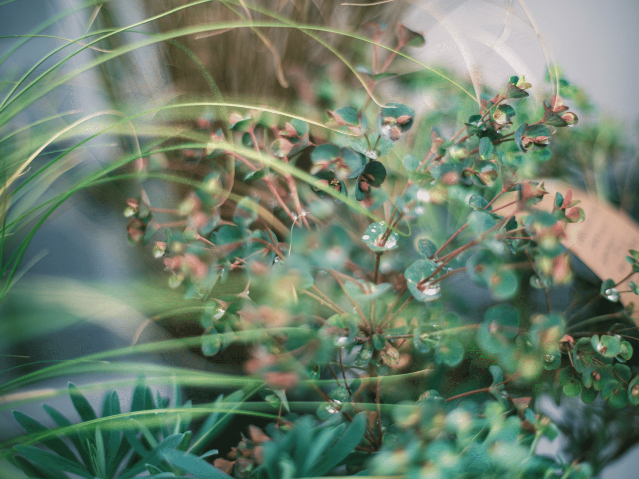 FUJIFILM GFX 50R 爆誕｜Yuya