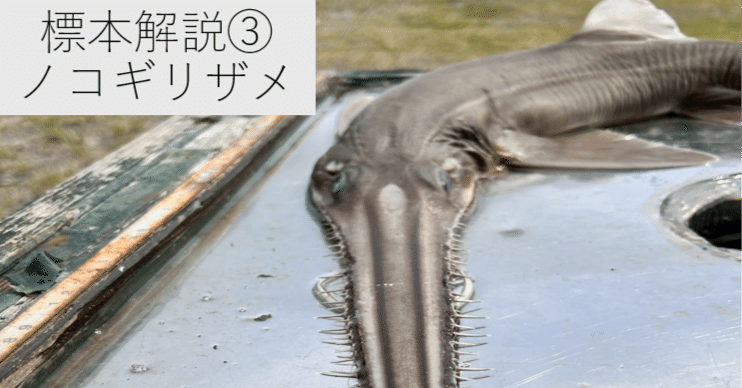 c00a6dc73fa01aaa35fd556727d5f5