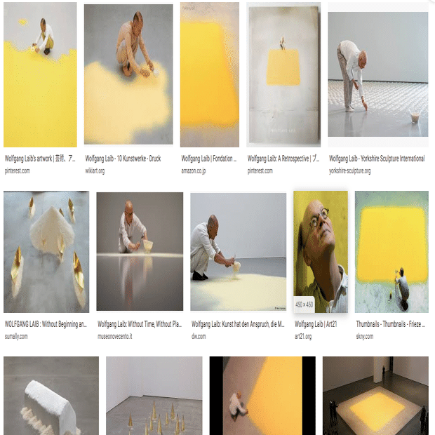 WOLFGANG LAIB A RETROSPECTIVEヴォルフガング・ライプ WOLFGANG LAIB