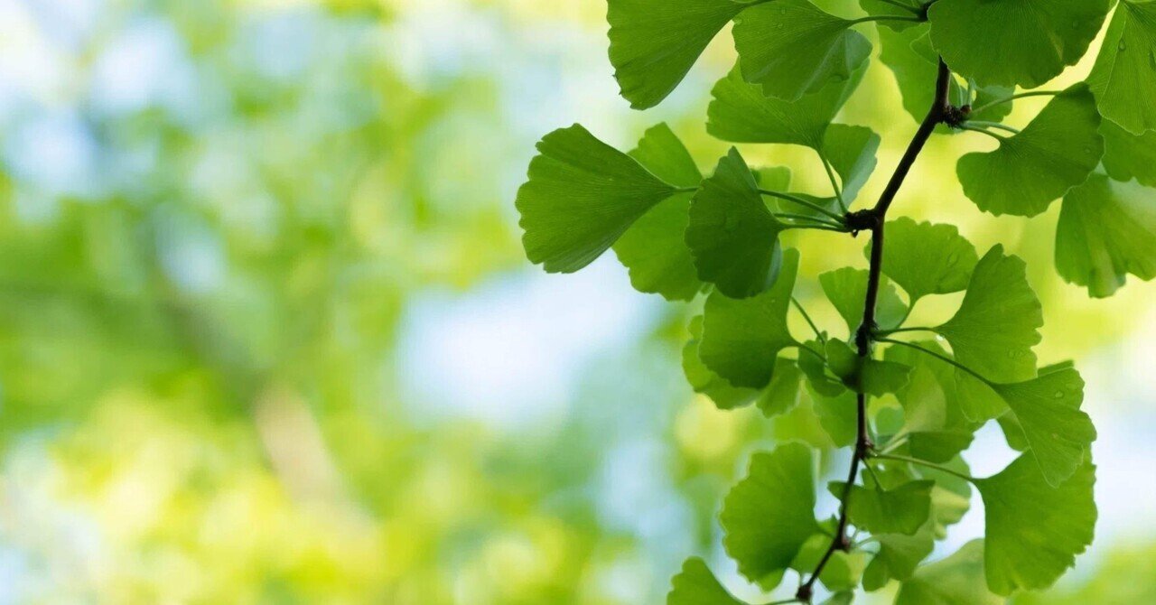 覚悟することMayu