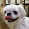 でん